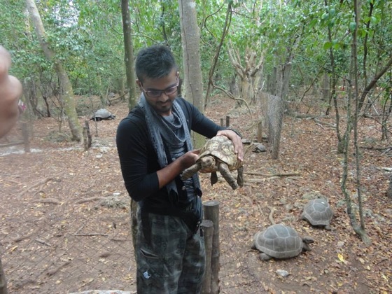 Holding a tortoise, with more of them on the ground behind